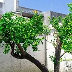 Corte Nonna Mmela Appartement *